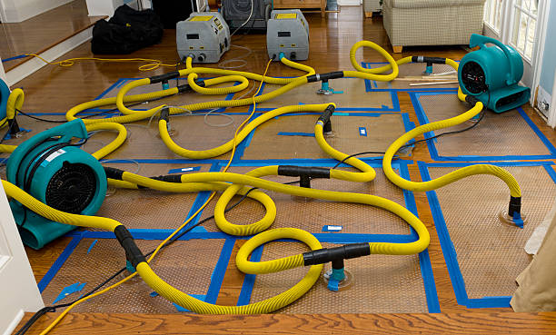 Professional Structural Drying And Dehumidification technician working in Kernville, CA